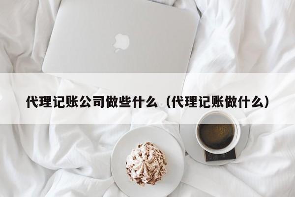 代理记账公司做些什么（代理记账做什么）