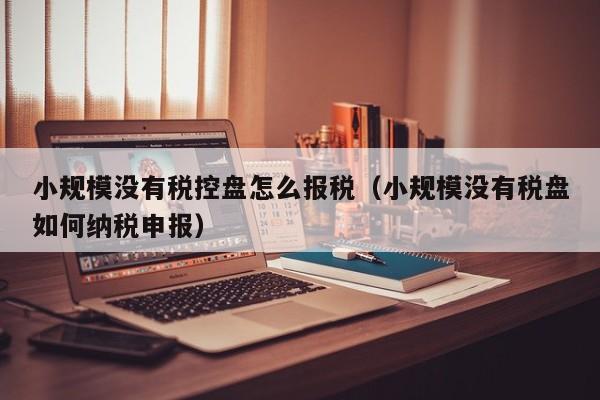 小规模没有税控盘怎么报税（小规模没有税盘如何纳税申报）