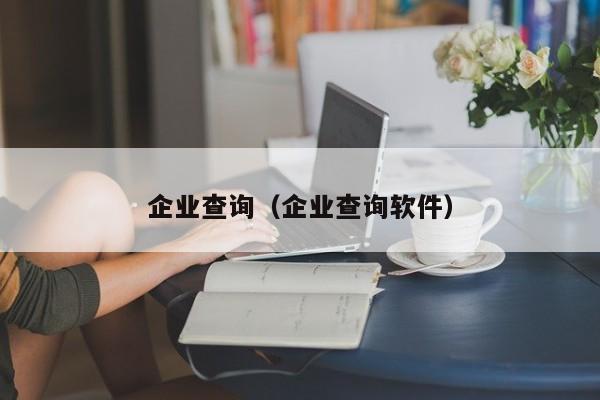 企业查询（企业查询软件）