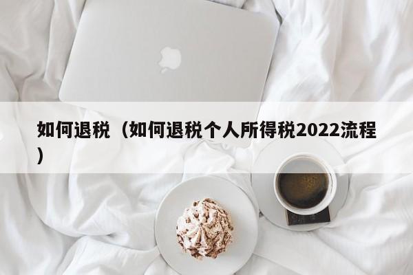 如何退税（如何退税个人所得税2022流程）