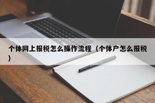 个体网上报税怎么操作流程（个体户怎么报税）