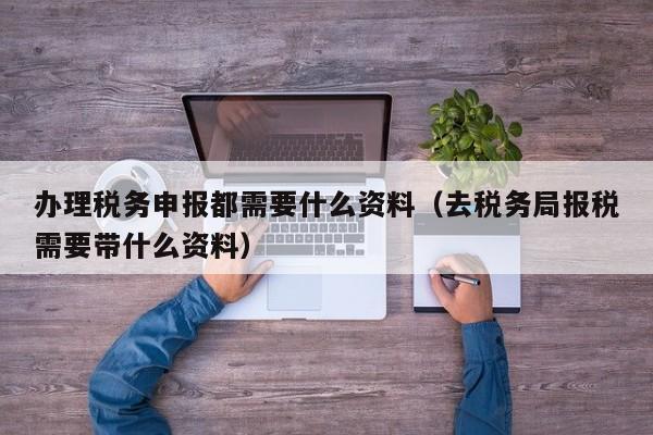 办理税务申报都需要什么资料（去税务局报税需要带什么资料）