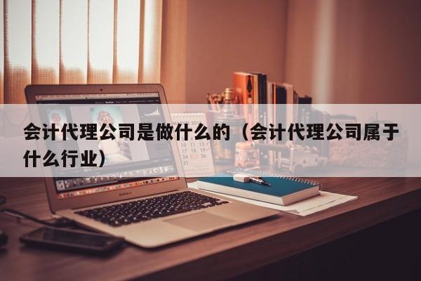 会计代理公司是做什么的（会计代理公司属于什么行业）