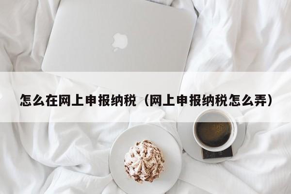 怎么在网上申报纳税（网上申报纳税怎么弄）