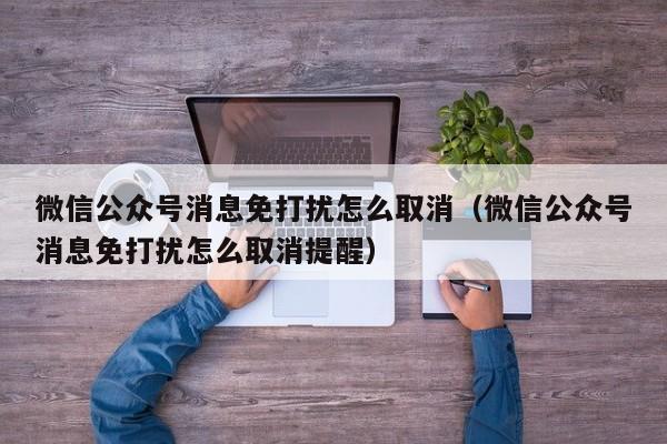 微信公众号消息免打扰怎么取消（微信公众号消息免打扰怎么取消提醒）