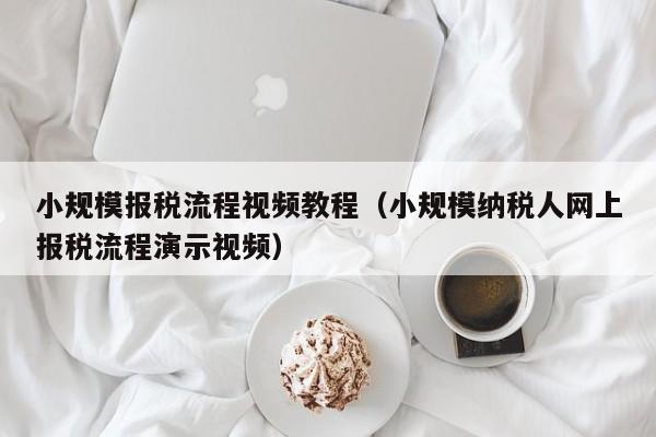 小规模报税流程视频教程（小规模纳税人网上报税流程演示视频）