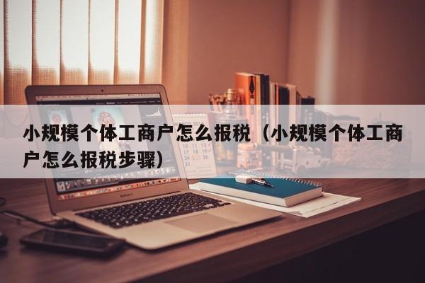 小规模个体工商户怎么报税（小规模个体工商户怎么报税步骤）