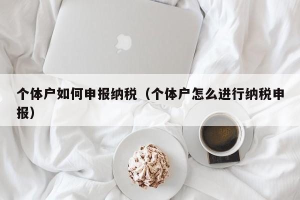 个体户如何申报纳税（个体户怎么进行纳税申报）