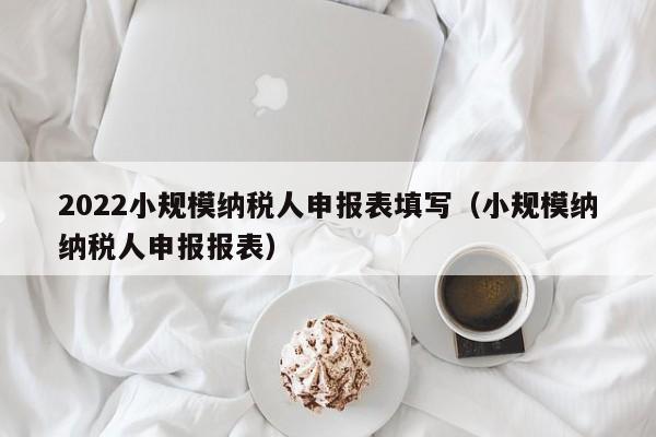 2022小规模纳税人申报表填写（小规模纳纳税人申报报表）