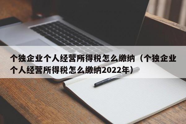 个独企业个人经营所得税怎么缴纳（个独企业个人经营所得税怎么缴纳2022年）