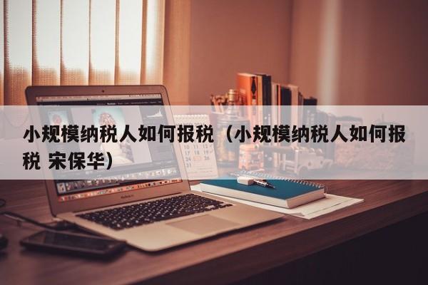 小规模纳税人如何报税（小规模纳税人如何报税 宋保华）