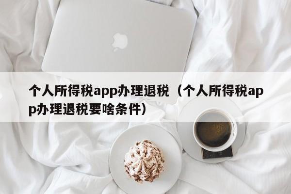 个人所得税app办理退税（个人所得税app办理退税要啥条件）