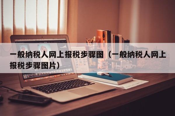 一般纳税人网上报税步骤图（一般纳税人网上报税步骤图片）