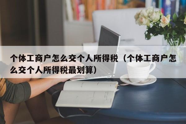 个体工商户怎么交个人所得税（个体工商户怎么交个人所得税最划算）