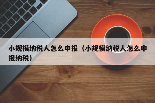 小规模纳税人怎么申报（小规模纳税人怎么申报纳税）