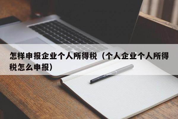 怎样申报企业个人所得税（个人企业个人所得税怎么申报）