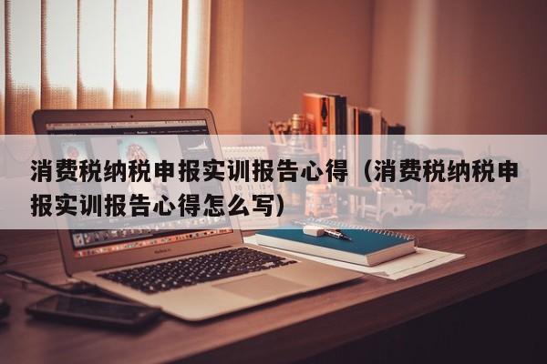 消费税纳税申报实训报告心得（消费税纳税申报实训报告心得怎么写）