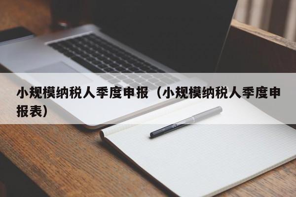 小规模纳税人季度申报（小规模纳税人季度申报表）