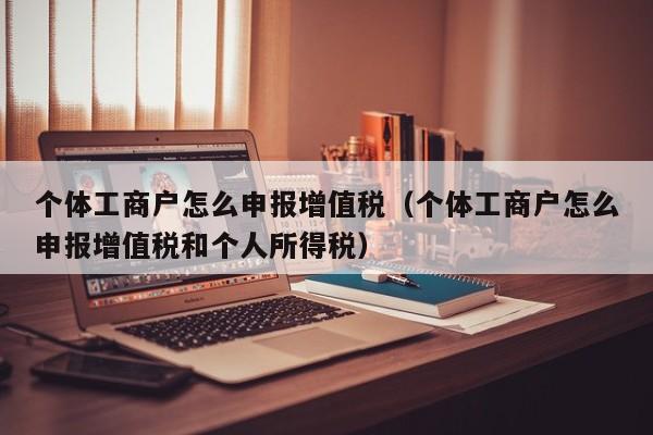 个体工商户怎么申报增值税（个体工商户怎么申报增值税和个人所得税）