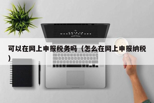 可以在网上申报税务吗（怎么在网上申报纳税）