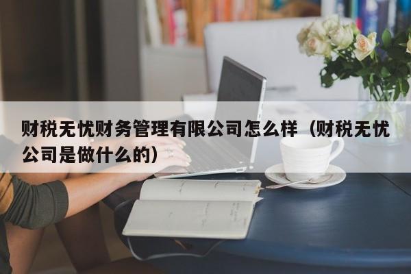 财税无忧财务管理有限公司怎么样（财税无忧公司是做什么的）