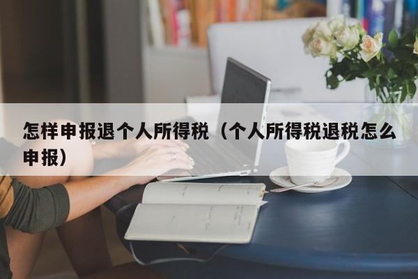 怎样申报退个人所得税（个人所得税退税怎么申报）