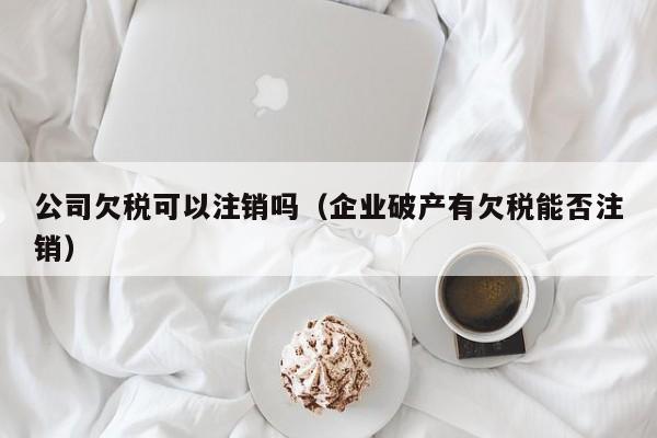 公司欠税可以注销吗（企业破产有欠税能否注销）