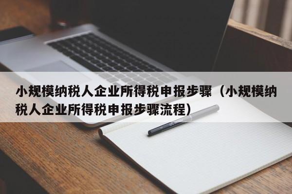 小规模纳税人企业所得税申报步骤（小规模纳税人企业所得税申报步骤流程）