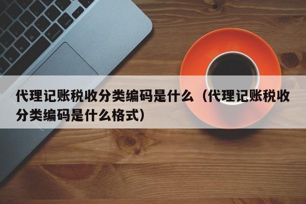 代理记账税收分类编码是什么（代理记账税收分类编码是什么格式）