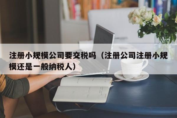 注册小规模公司要交税吗（注册公司注册小规模还是一般纳税人）