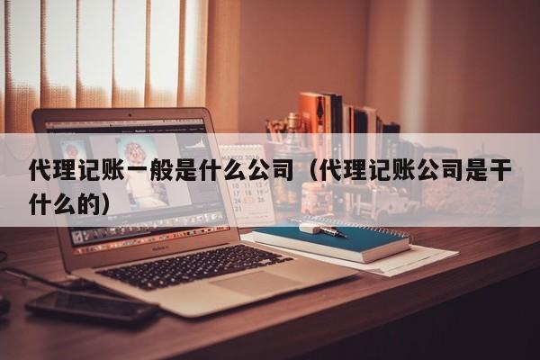 代理记账一般是什么公司（代理记账公司是干什么的）