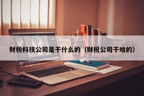 财税科技公司是干什么的（财税公司干啥的）