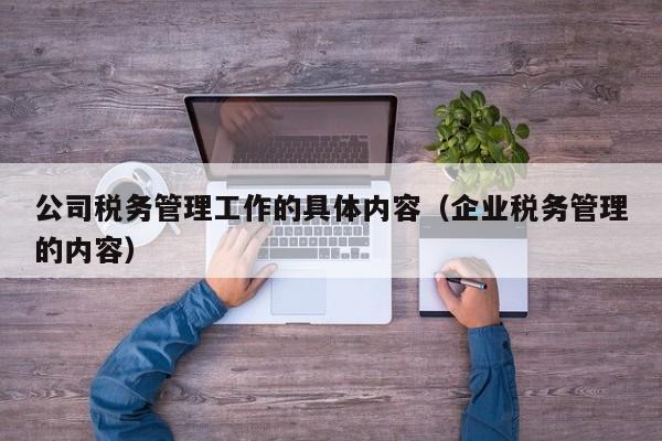 公司税务管理工作的具体内容（企业税务管理的内容）