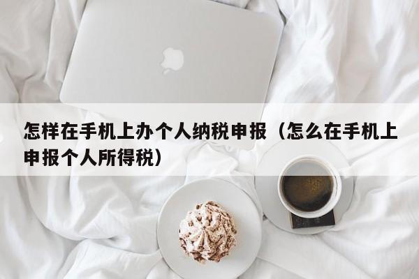 怎样在手机上办个人纳税申报（怎么在手机上申报个人所得税）