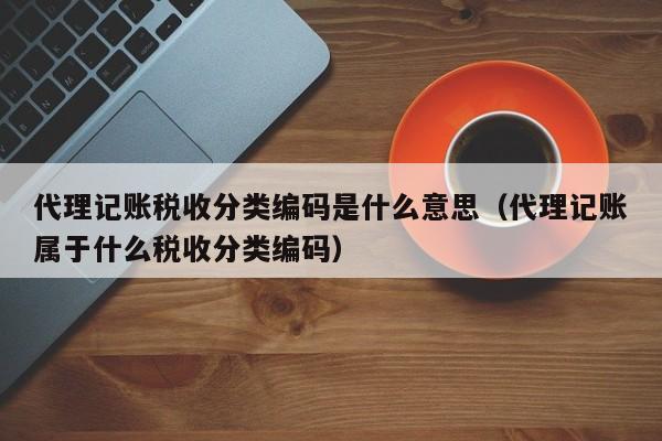 代理记账税收分类编码是什么意思（代理记账属于什么税收分类编码）