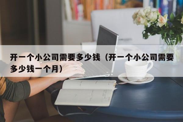 开一个小公司需要多少钱（开一个小公司需要多少钱一个月）