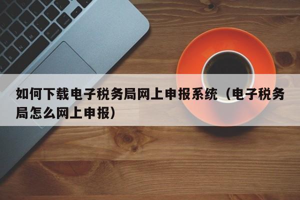 如何下载电子税务局网上申报系统（电子税务局怎么网上申报）