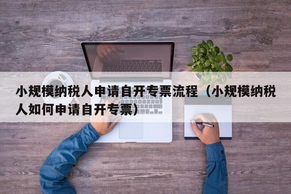 小规模纳税人申请自开专票流程（小规模纳税人如何申请自开专票）