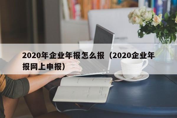 2020年企业年报怎么报（2020企业年报网上申报）