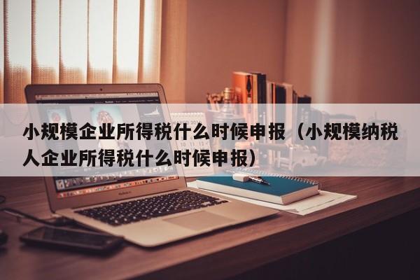 小规模企业所得税什么时候申报（小规模纳税人企业所得税什么时候申报）