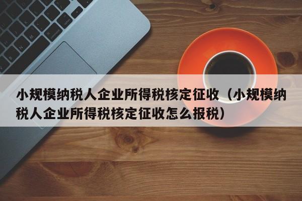 小规模纳税人企业所得税核定征收（小规模纳税人企业所得税核定征收怎么报税）