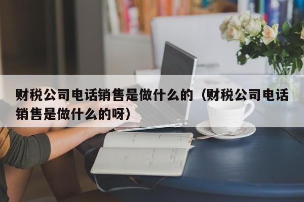 财税公司电话销售是做什么的（财税公司电话销售是做什么的呀）