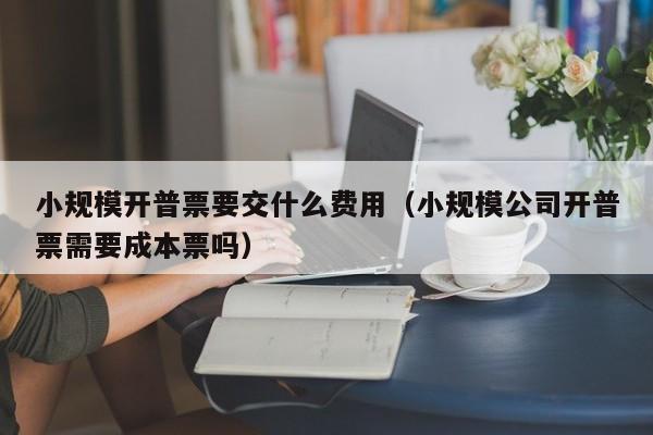 小规模开普票要交什么费用（小规模公司开普票需要成本票吗）