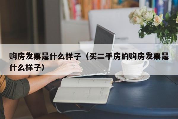 购房发票是什么样子（买二手房的购房发票是什么样子）