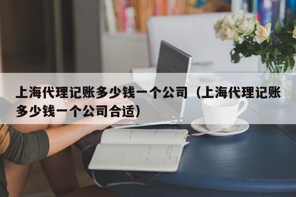 上海代理记账多少钱一个公司（上海代理记账多少钱一个公司合适）