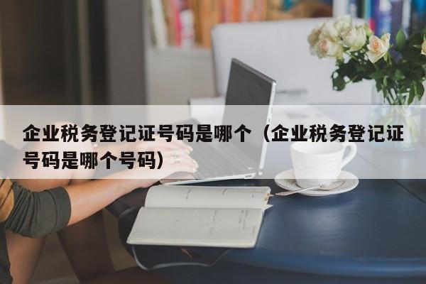 企业税务登记证号码是哪个（企业税务登记证号码是哪个号码）