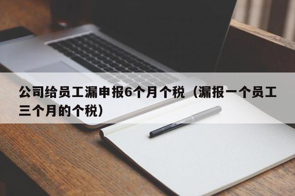 公司给员工漏申报6个月个税（漏报一个员工三个月的个税）