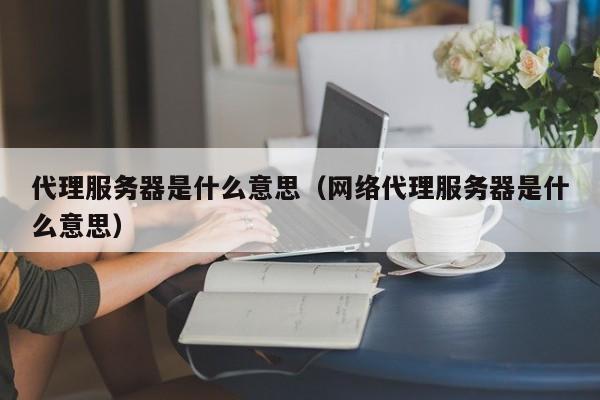 代理服务器是什么意思（网络代理服务器是什么意思）