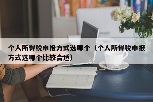 个人所得税申报方式选哪个（个人所得税申报方式选哪个比较合适）