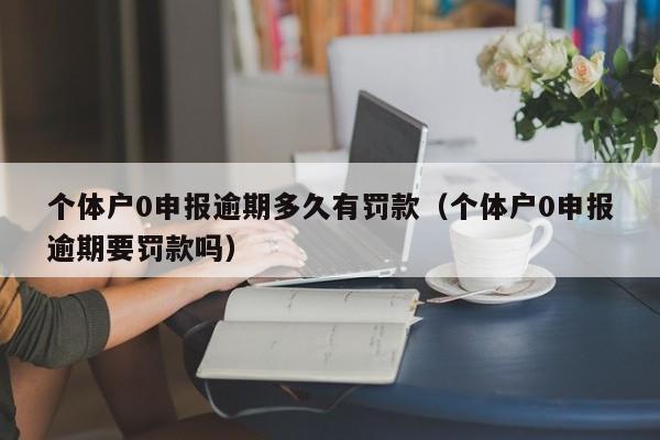 个体户0申报逾期多久有罚款（个体户0申报逾期要罚款吗）